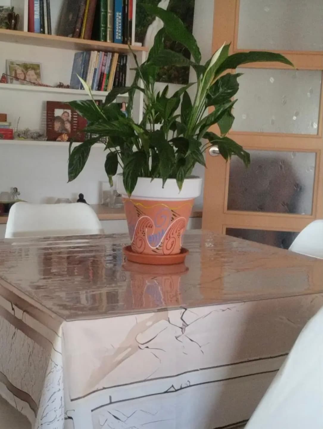 Blumentopf auf dem Tisch; die Matte liegt auf der Tischdecke, im Hintergrund ein Bücherregal